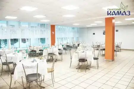 КАМАЗ Саулык - 19