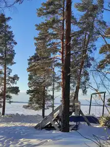Чайка - 22