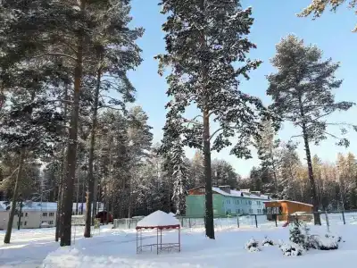 Селычка - 61