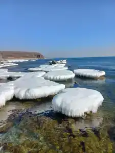 Жемчужина - 50