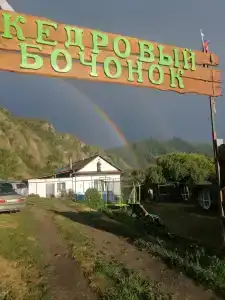 Кедровый бочонок - 0