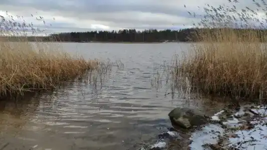 Вуокса-вирта - 30