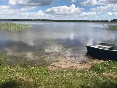 Дыхание Леса - 3