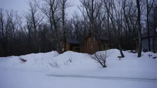 Солнечный берег - 46