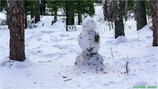Веселый ключ - 21