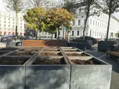 Дельта Невы - 23