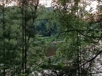 ЗиД - 33