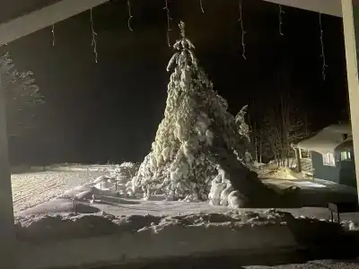 Березовый хутор - 11