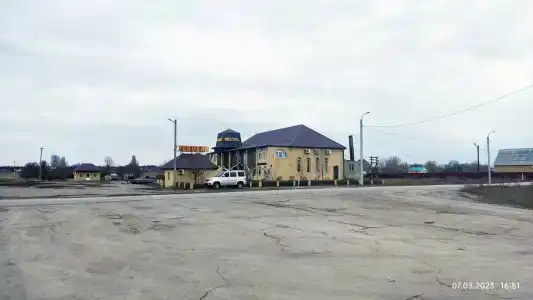 Чинар - 13