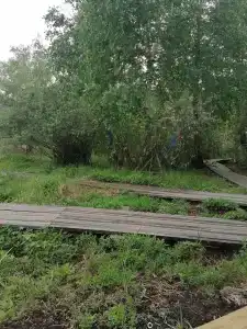 Кучигер - 71
