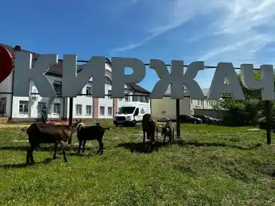 Драйв - 19