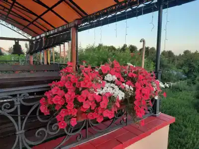 ГТК Театральный - 31