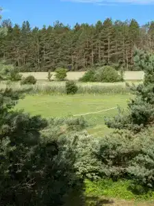 Лесной Эдем - 20