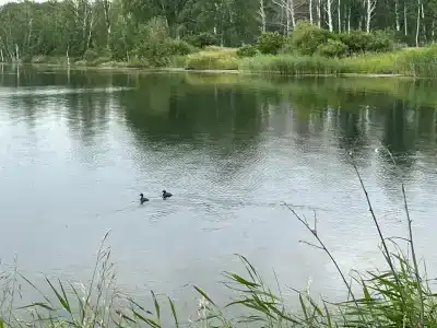 Политотдел - 13