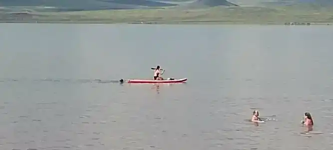 База отдыха Лазурный берег - 72