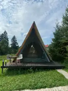 Российские альпаки - 83