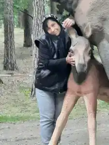 Коттедж БЕРЁЗКА на озере Большой Кисегач - 47