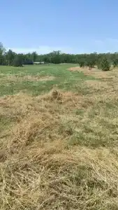 La Fazenda - 6
