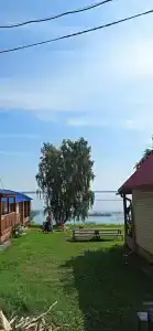 Гринта - 40