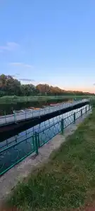 Битюг - 26