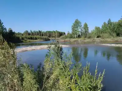 Китой - 49