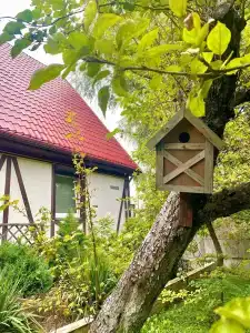 Скворечник - 18