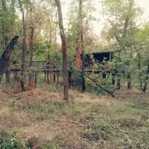 Камышовый Рай - 95