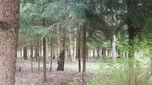 Дилижанс - 24