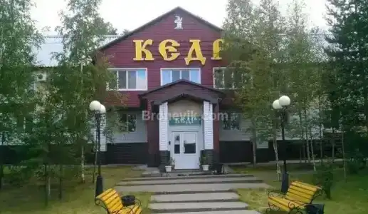 Кедр - 0