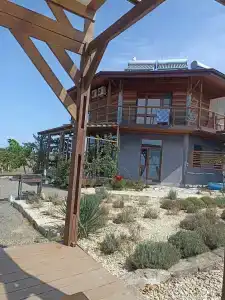 Фридом Веселовка - 38