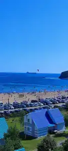 Звезда моря - 40