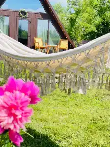 Шале в Орле - 79