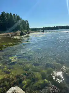 Нильма-рай - 10