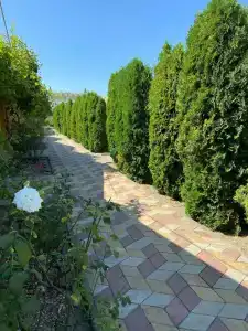 Азовпатио - 4