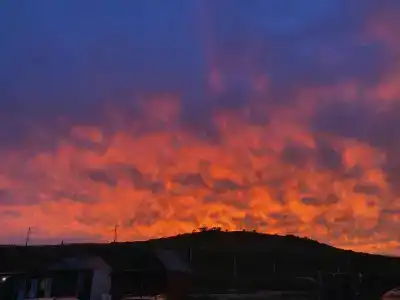 Зелёная полянка - 20