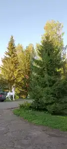 Санаторий им. А.П. Бородина - 18