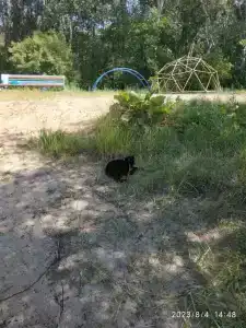 Бодрость - 77