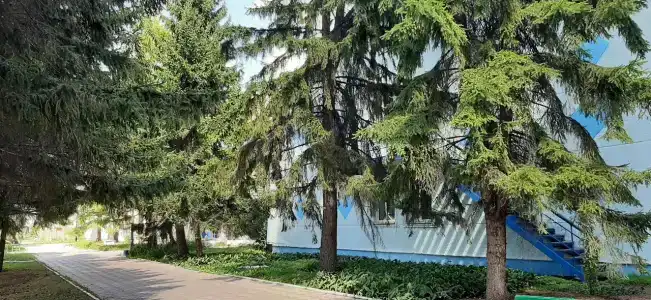 Политотдел - 6