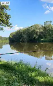 Русский лес - 98