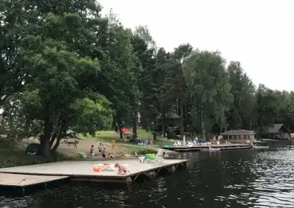 Зелёная роща - 10