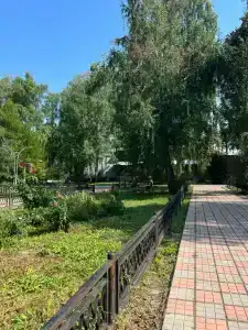Лесное озеро - 16