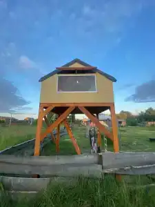 Смородина - 50