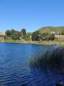 Родное - 21