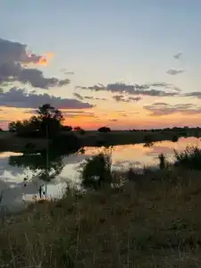 Усадьба Никольское - 23