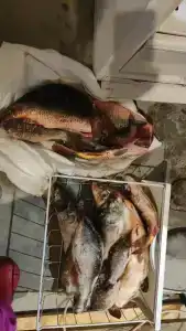 Хуторок - 45