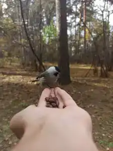 Ангара Курорт - 28