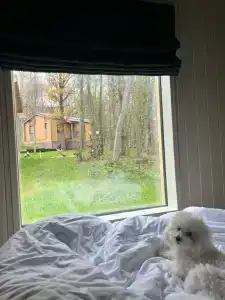 База отдыха Эко-лоджи Wish Home Yahroma - 69