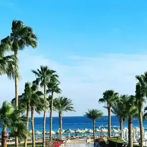 Baron Resort Sharm El Sheikh - 12