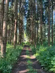 Горная башня - 5