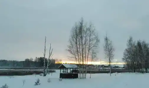 Подворье - 79